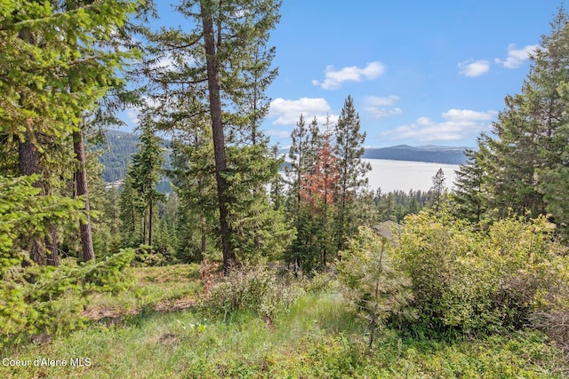 L2B2 S Hanson Rd, Harrison, ID 83833