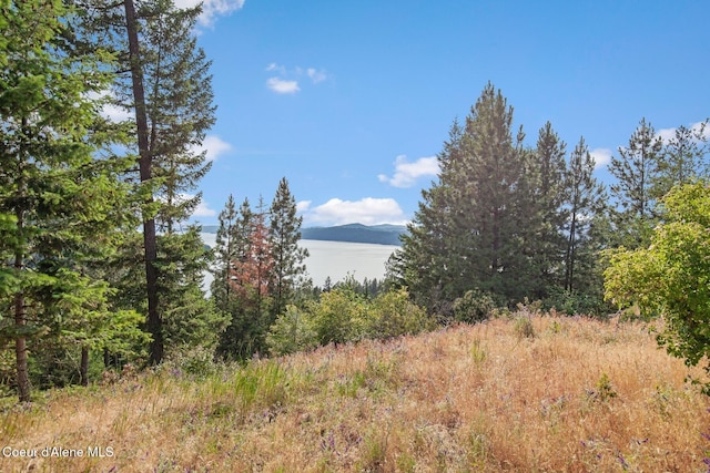 L2B2 S Hanson Rd, Harrison, ID 83833