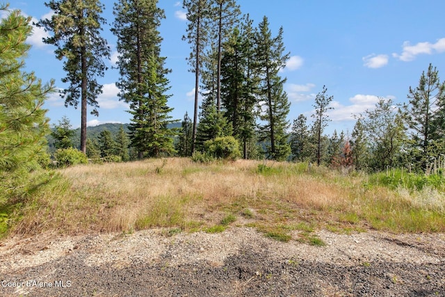 L2B2 S Hanson Rd, Harrison, ID 83833
