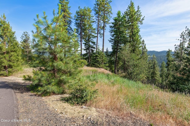 L2B2 S Hanson Rd, Harrison, ID 83833