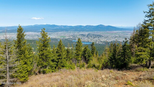 NKA Veterans Dr, Post Falls, ID 83854 - photo 5