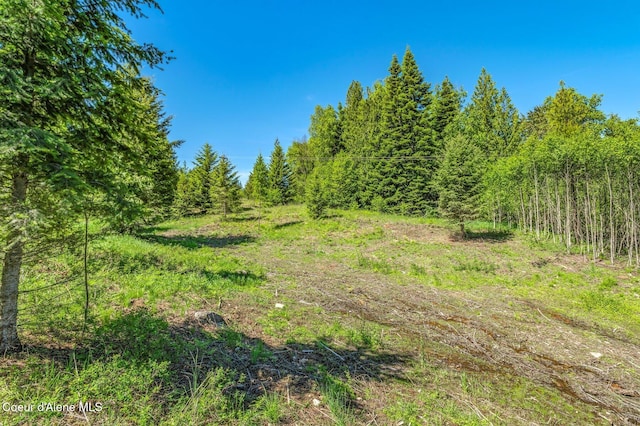 NNA Schneiders Rd, Sagle, ID 83860