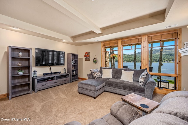 653 Dover Bay Pkwy Unit 101, Dover, ID 83825 - carpeted living room with a tray ceiling and beam ceiling