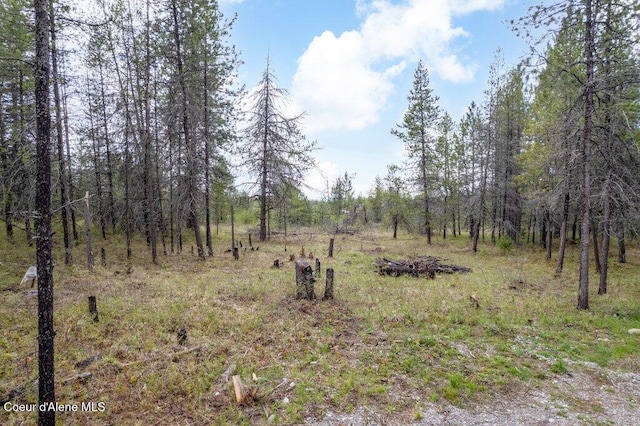 172 Wyatt Ln, Spirit Lake, ID 83869 - view of wooded area