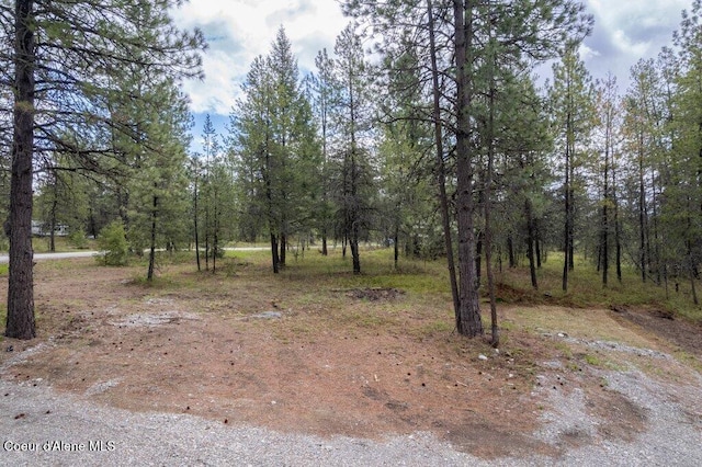 172 Wyatt Ln, Spirit Lake, ID 83869 - view of undeveloped land