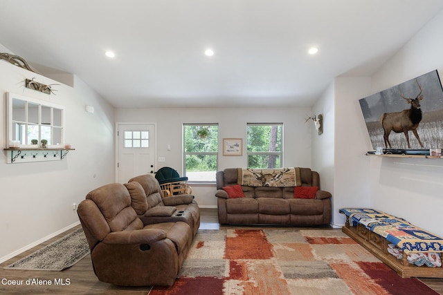81 Mango St, Moyie Springs, ID 83845 - living room featuring wood finished floors and recessed lighting