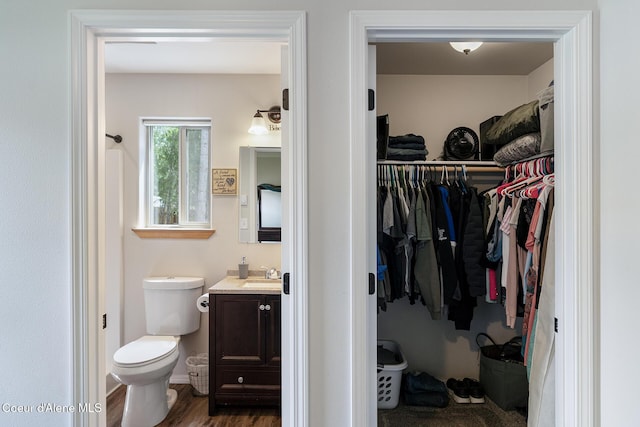 81 Mango St, Moyie Springs, ID 83845 - bathroom featuring vanity, wood finished floors, and a walk in closet
