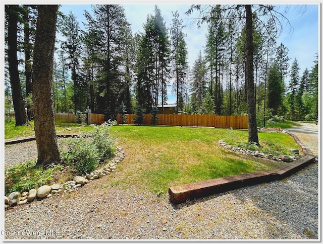 81 Mango St, Moyie Springs, ID 83845 - view of yard
