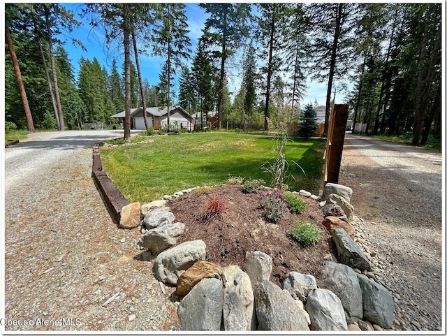 81 Mango St, Moyie Springs, ID 83845 - view of grassy yard featuring driveway and a view of trees