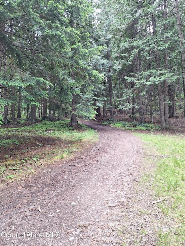 116 Mathews Ridge Rd, Priest River, ID 83856 - view of street with a forest view
