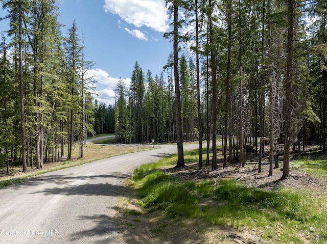 LOT4 Brown Bear Dr, Nordman, ID 83848 - photo 4