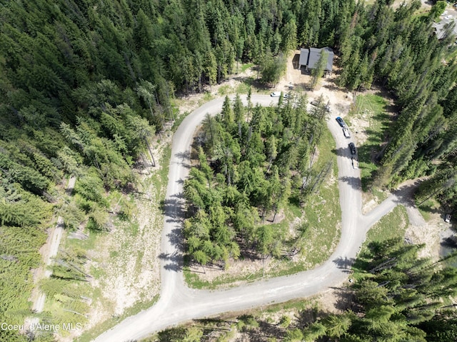 LOT4 Brown Bear Dr, Nordman, ID 83848 - photo 6