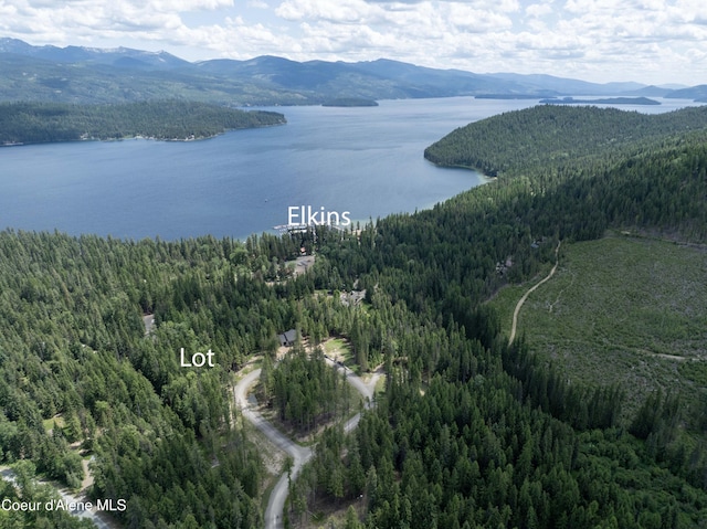 LOT4 Brown Bear Dr, Nordman, ID 83848 - photo 7