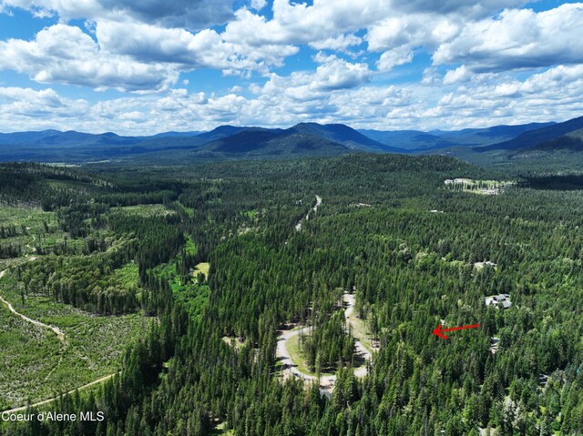 LOT4 Brown Bear Dr, Nordman, ID 83848 - photo 9