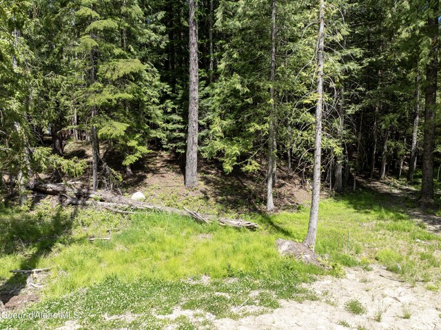 LOT4 Brown Bear Dr, Nordman, ID 83848 - photo 10