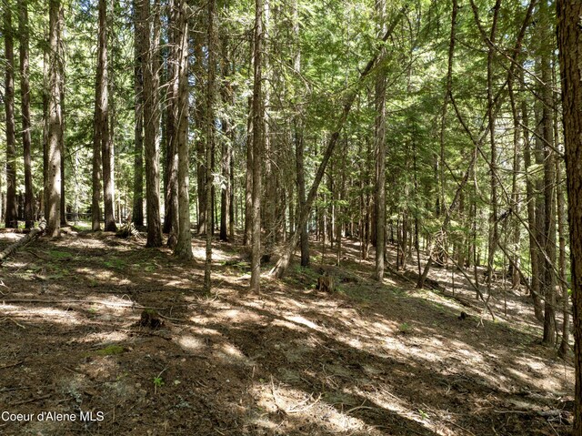 LOT4 Brown Bear Dr, Nordman, ID 83848 - photo 11