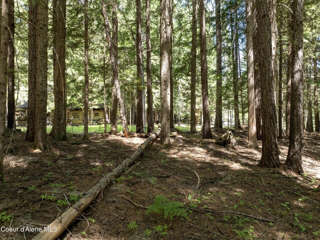 LOT4 Brown Bear Dr, Nordman, ID 83848 - photo 12