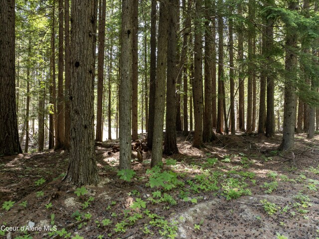 LOT4 Brown Bear Dr, Nordman, ID 83848 - photo 13