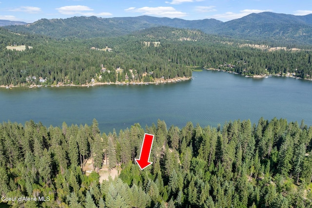 N Shenandoah Dr, Hayden, ID 83835 - photo 4