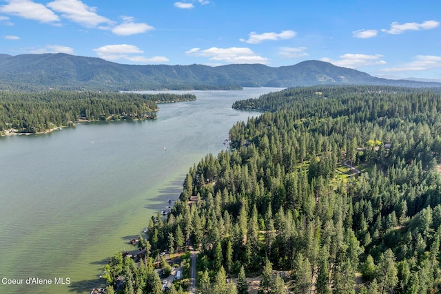 N Shenandoah Dr, Hayden, ID 83835 - photo 7