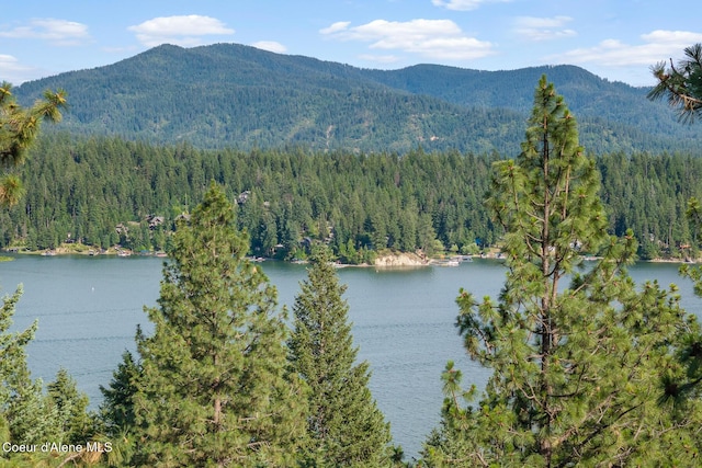 N Shenandoah Dr, Hayden, ID 83835 - photo 8