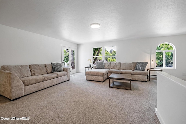 202 S 18th St, Coeur Dalene, ID 83814 - living room featuring carpet floors and a textured ceiling
