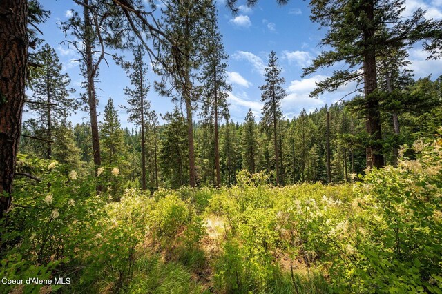 NKA Bella Vista, Worley, ID 83876