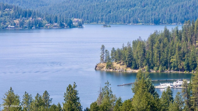 303 S 19th St, Coeur Dalene, ID 83814 - water view featuring a heavily wooded area