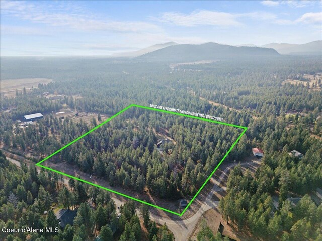 2130 E Bellamy Rd, Athol, ID 83801 - drone / aerial view of a heavily wooded area