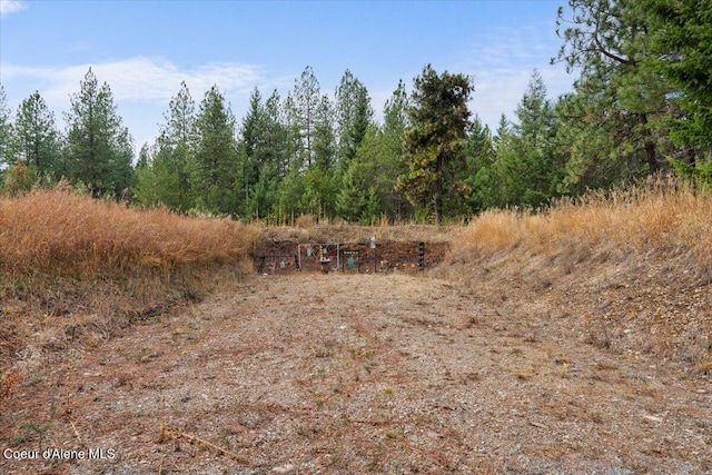 2130 E Bellamy Rd, Athol, ID 83801 - view of nature