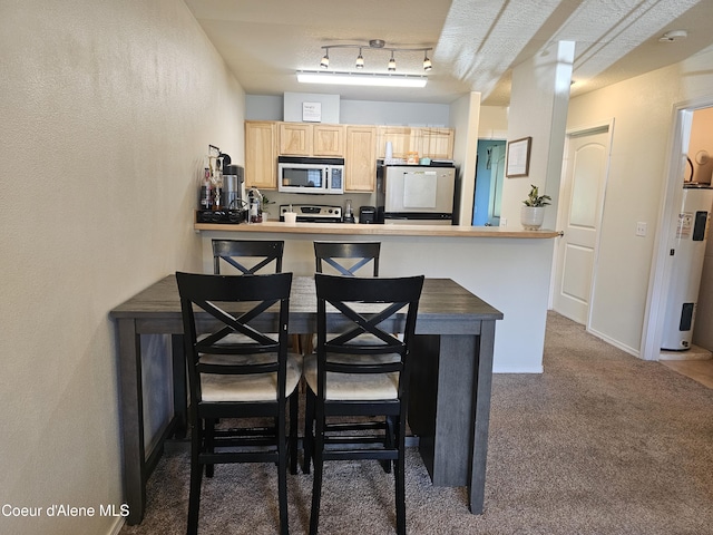 848 N Chase Rd # 102, Post Falls, ID 83854 - kitchen with stainless steel microwave, water heater, refrigerator, light brown cabinets, and carpet flooring