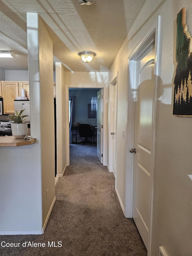 848 N Chase Rd # 102, Post Falls, ID 83854 - hallway featuring carpet flooring and a textured ceiling