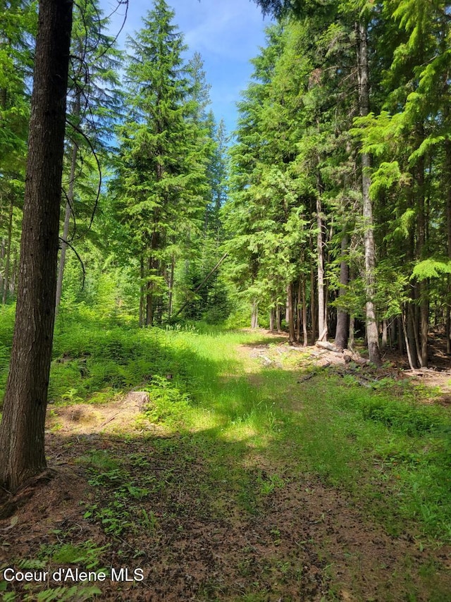 NNA Christmas Lane, Naples, ID 83847 - photo 1