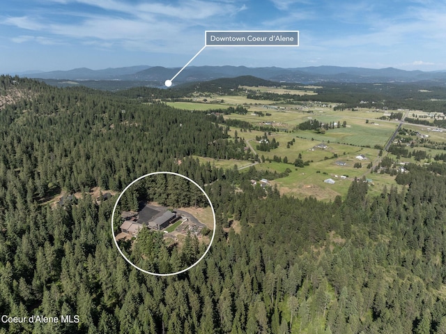 8718 W Sausser Dr, Coeur Dalene, ID 83814 - aerial view of property's location featuring a mountain backdrop