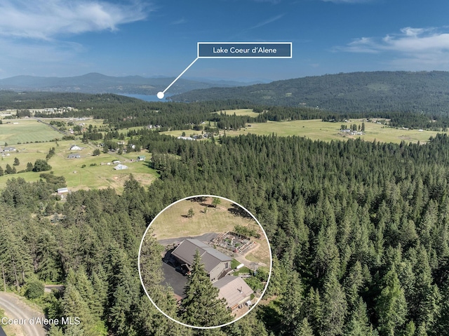 8718 W Sausser Dr, Coeur Dalene, ID 83814 - mountain view with a forest