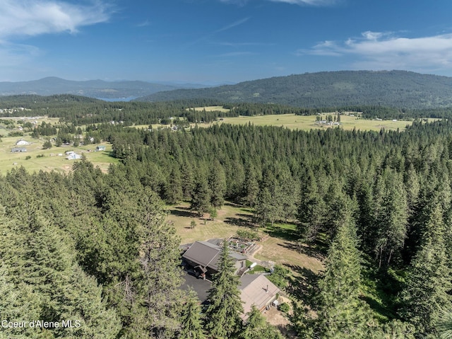 8718 W Sausser Dr, Coeur Dalene, ID 83814 - drone / aerial view of mountains