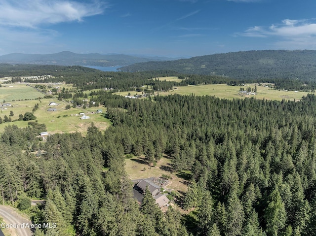 8718 W Sausser Dr, Coeur Dalene, ID 83814 - aerial view of a mountainous background