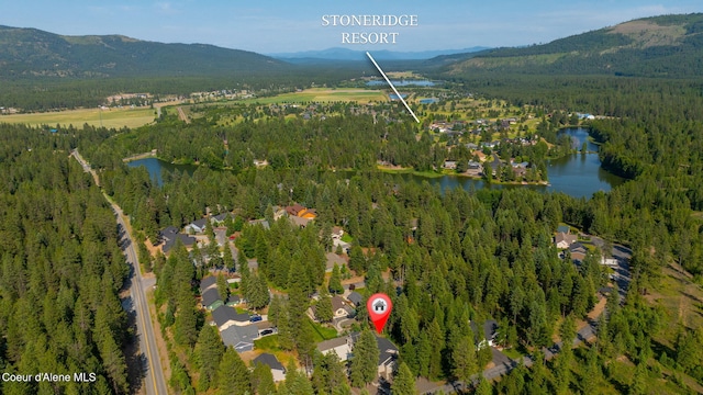 80 Parkland Dr, Blanchard, ID 83804 - aerial overview of property's location featuring a water and mountain view