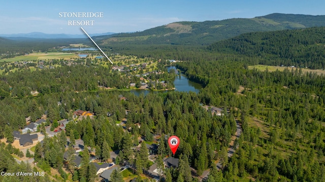 80 Parkland Dr, Blanchard, ID 83804 - aerial overview of property's location featuring a forest and a water and mountain view