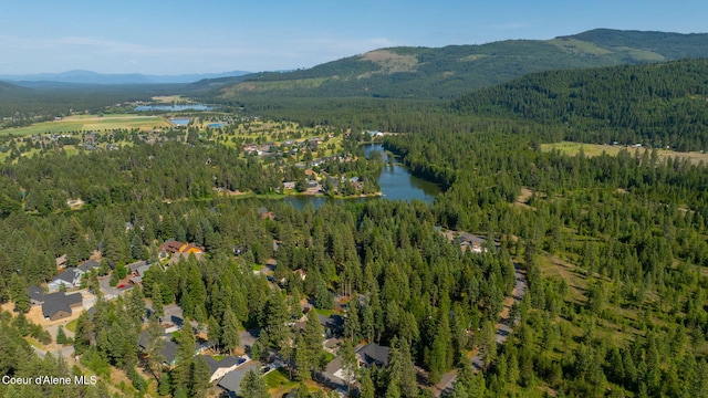 80 Parkland Dr, Blanchard, ID 83804 - aerial overview of property's location featuring a forest and a water and mountain view