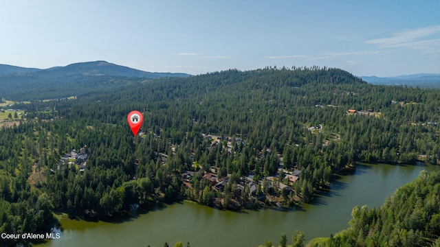 80 Parkland Dr, Blanchard, ID 83804 - aerial view of property's location featuring a water and mountain view