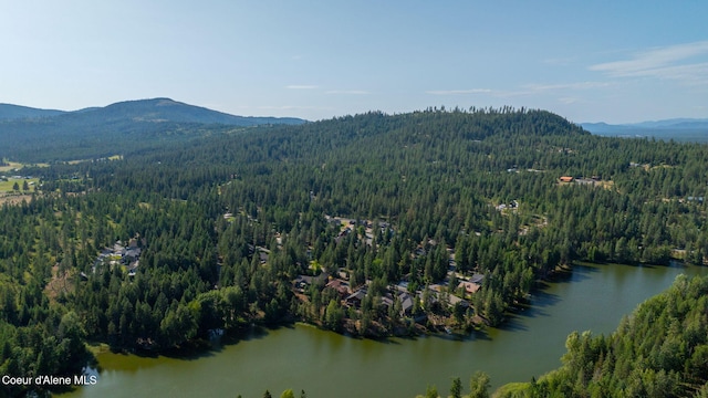 80 Parkland Dr, Blanchard, ID 83804 - drone / aerial view of a water and mountain view