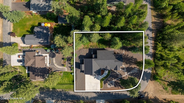 80 Parkland Dr, Blanchard, ID 83804 - aerial overview of property's location with property parcel outlined