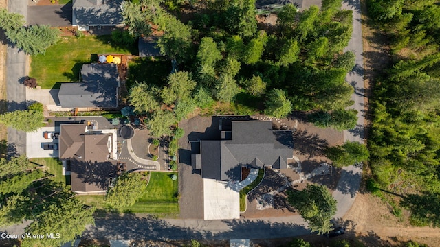 80 Parkland Dr, Blanchard, ID 83804 - aerial view of property and surrounding area