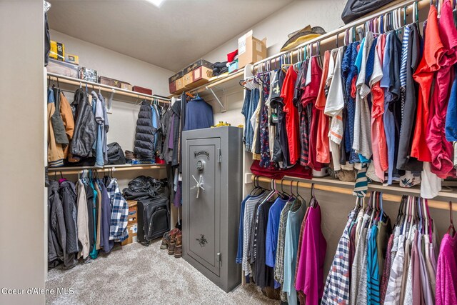 80 Parkland Dr, Blanchard, ID 83804 - spacious closet featuring carpet floors