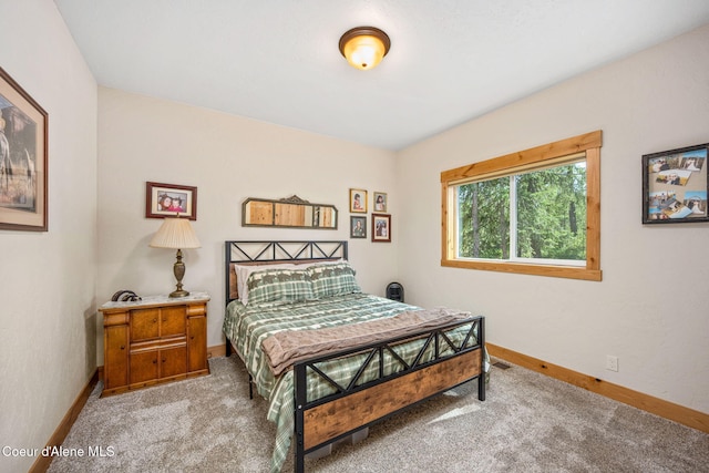 80 Parkland Dr, Blanchard, ID 83804 - bedroom with baseboards and light carpet