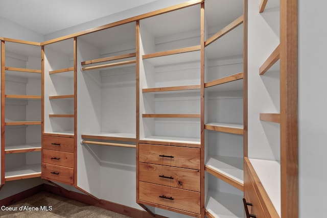 357 Odonnell Dr, Dover, ID 83825 - spacious closet with dark colored carpet