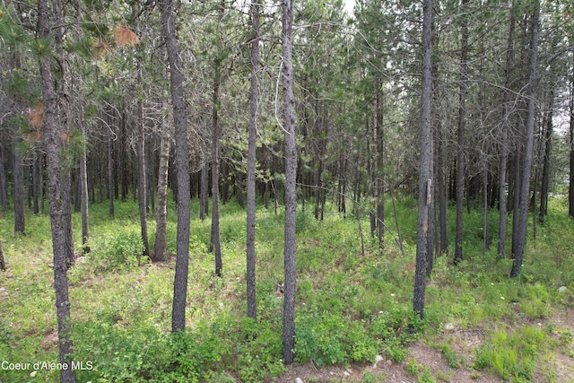 NKA N Sylvan Rd, Athol, ID 83801