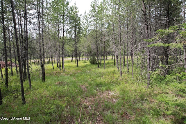 NKA N Sylvan Rd, Athol, ID 83801