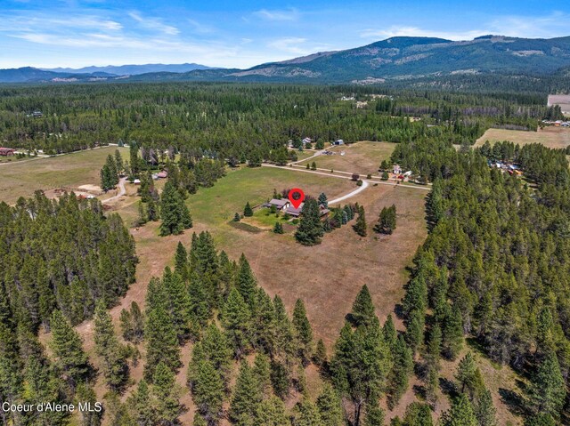 568 Meadowlark Ln, Oldtown, ID 83822 - photo 43